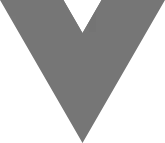Vue.js Development logo